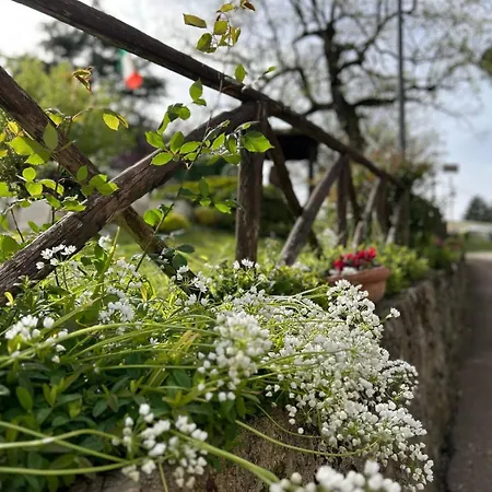 Fiori - Inborgo * San Gemini