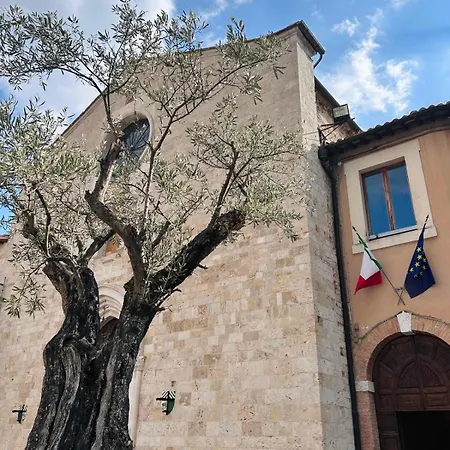 Fiori - Inborgo San Gemini