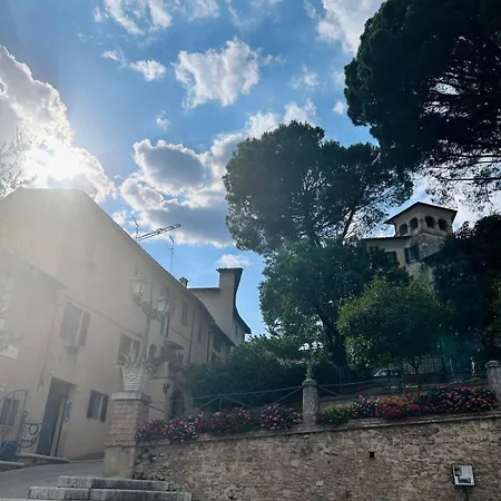 Fiori - Inborgo